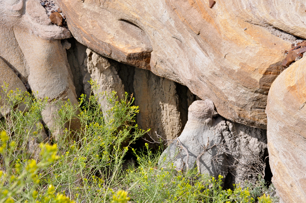 rock formations in Makoshika State Park
